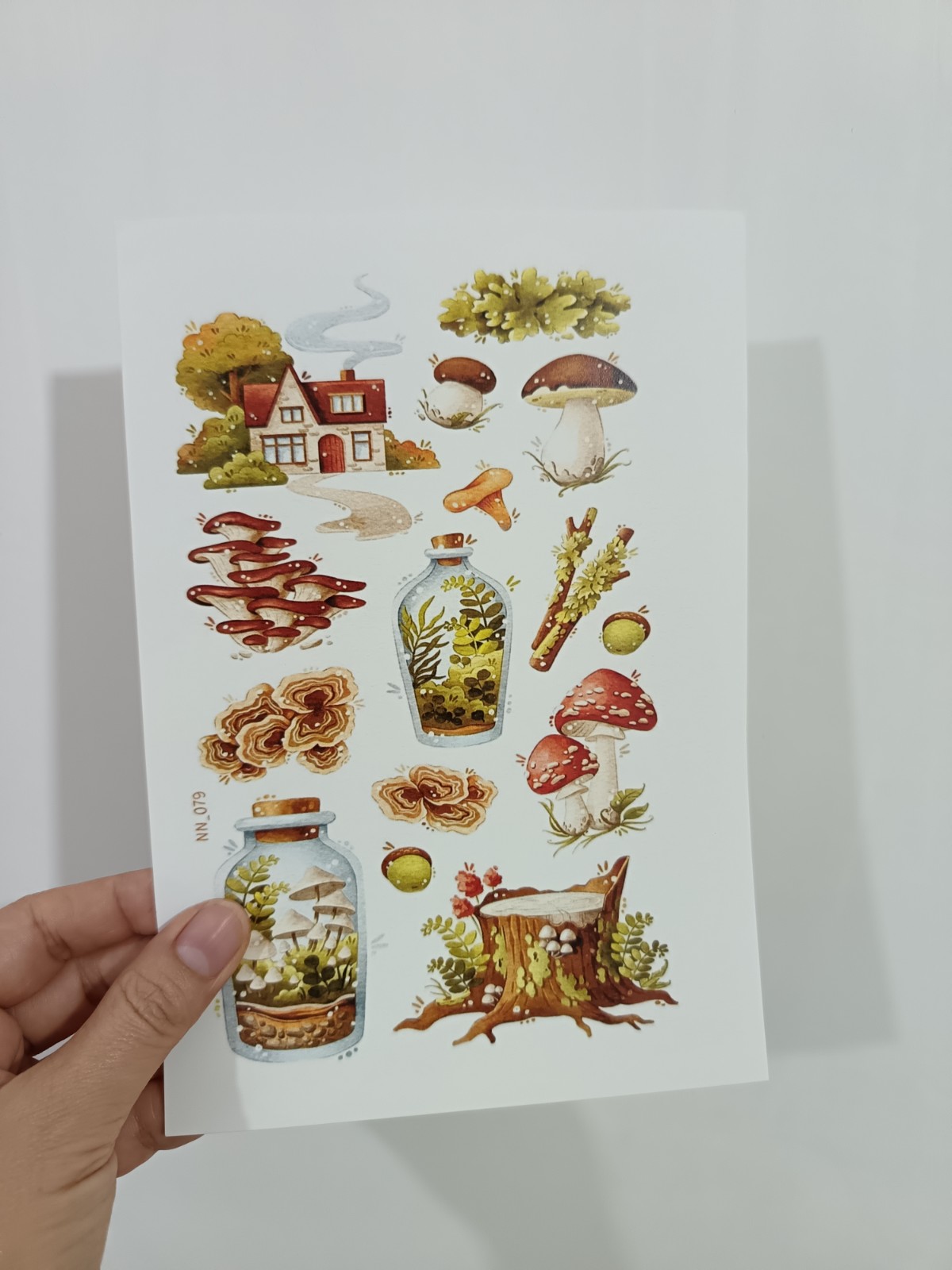 استیکر طبیعت